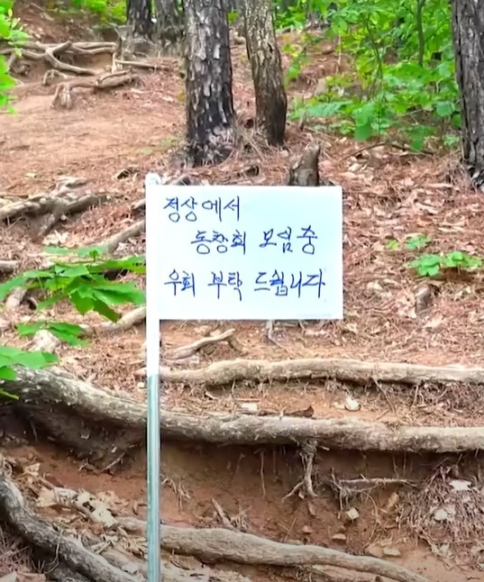 정상에서 이미지