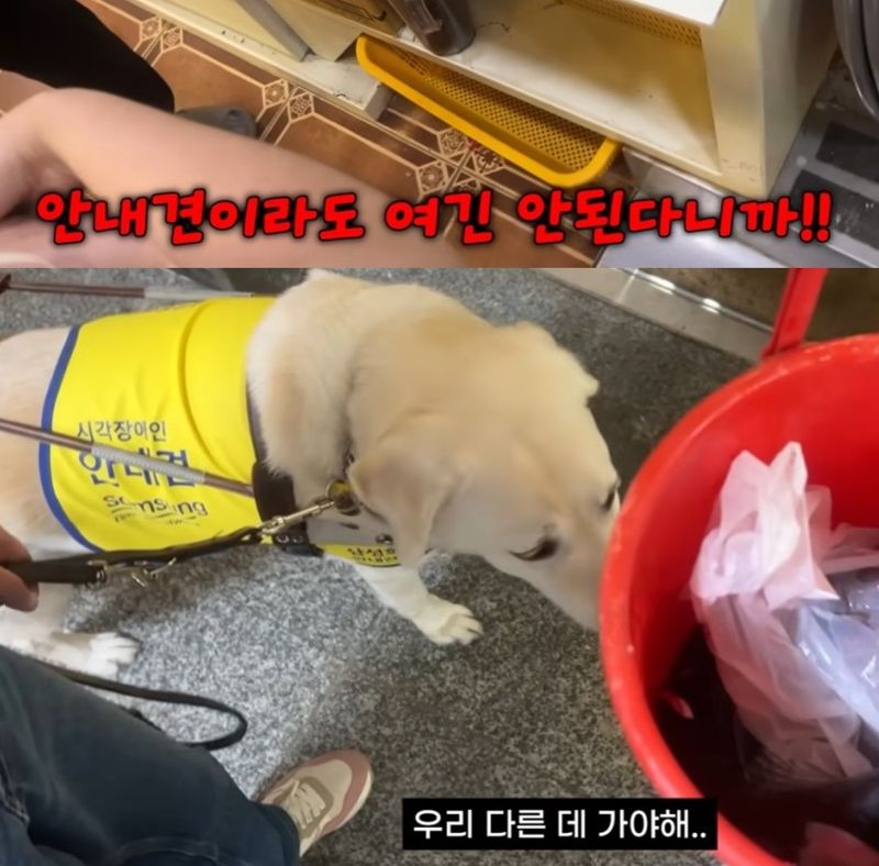 부산회집 이미지