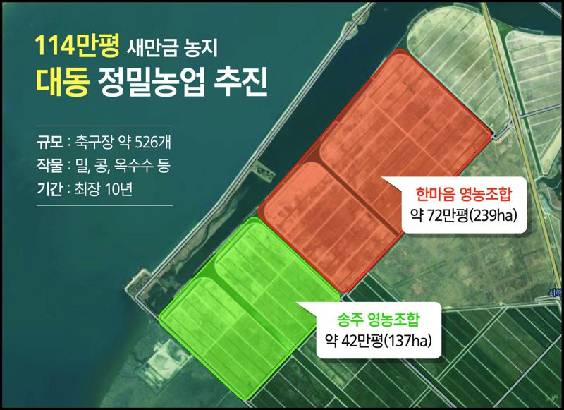 대동 이미지