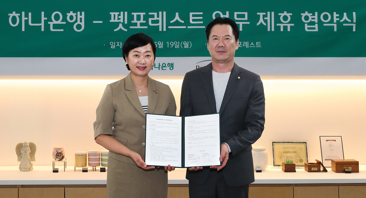 20 이미지