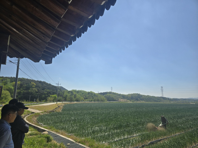 장수반점 이미지