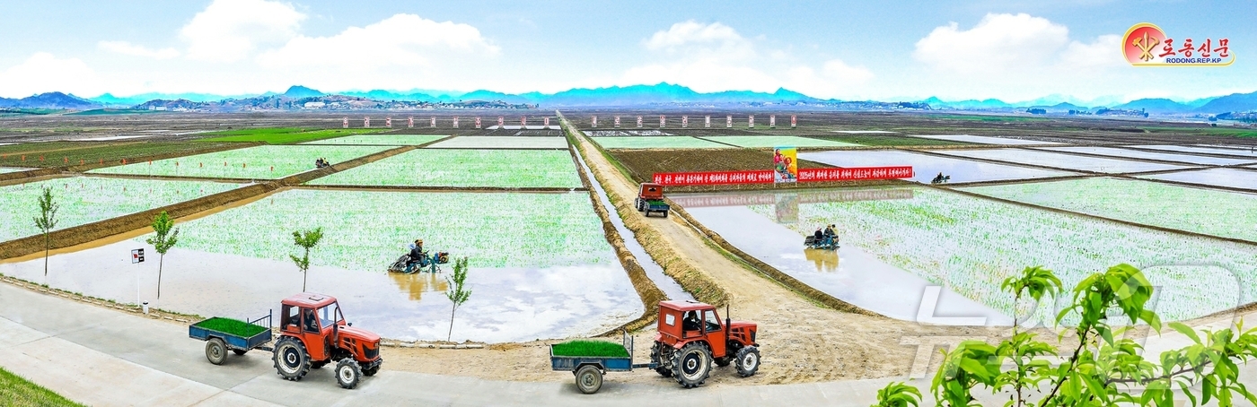 영도주단 이미지