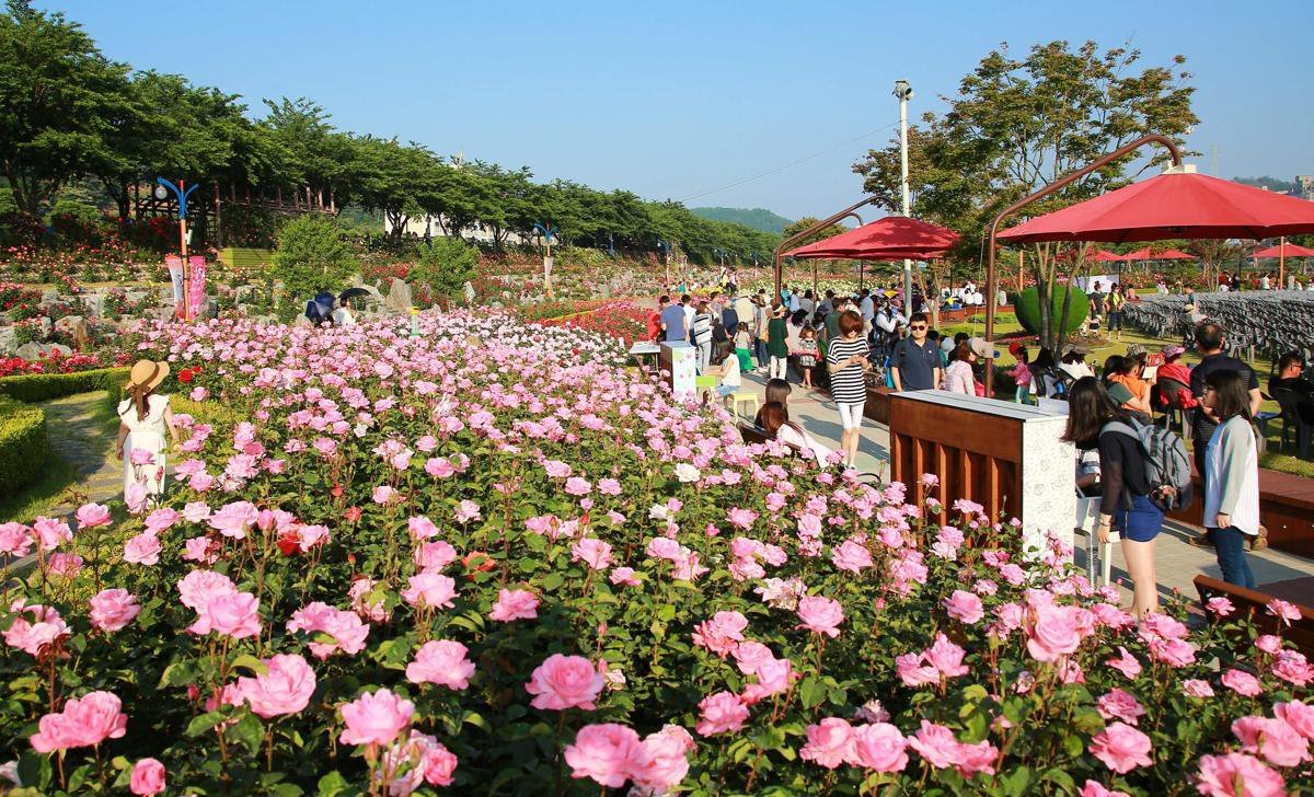 삼척 이미지