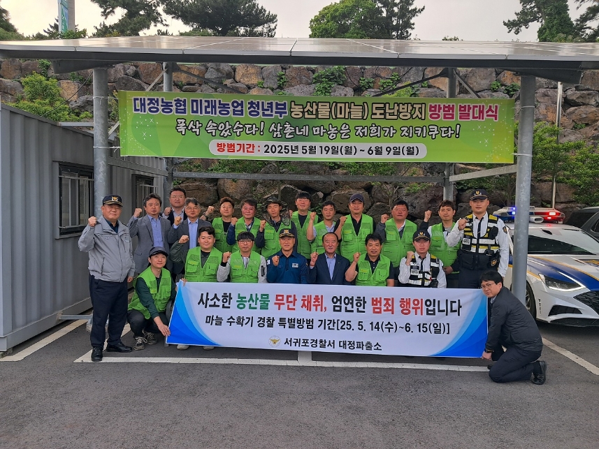 대정 이미지