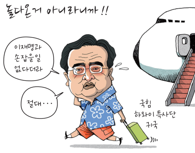 놀다 이미지