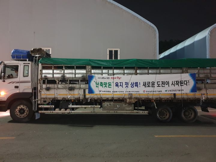 육지 이미지