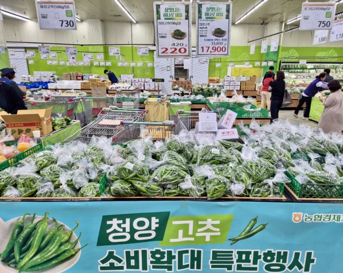 경기할인마트 이미지
