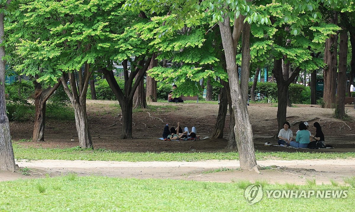 그늘 이미지