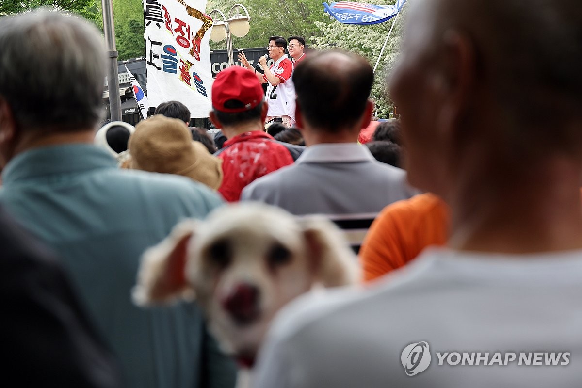 사이에 이미지