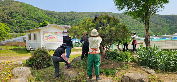 하동 이미지