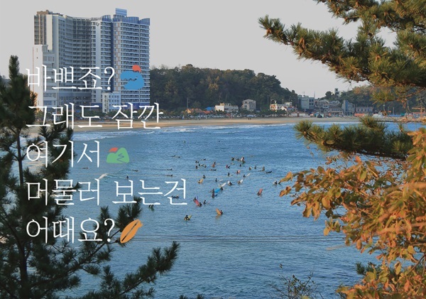 로마드협동조합 이미지