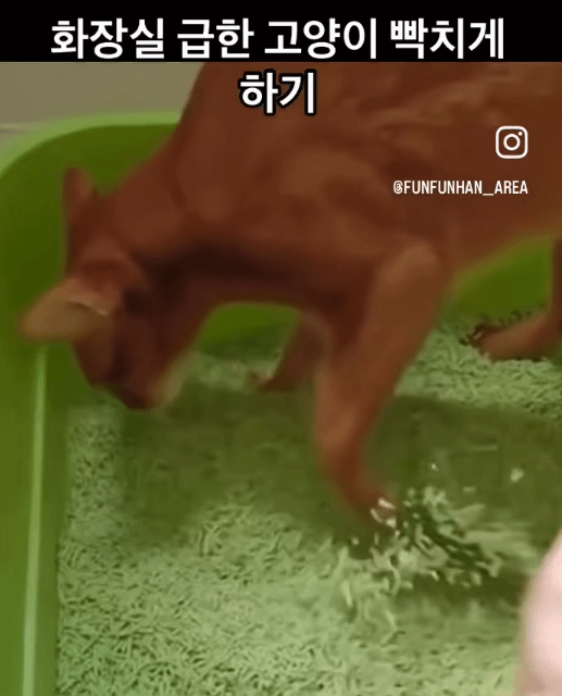 1eb0d134f1e13daa6bbcc28a44817668ae9ccec99c4b9bfd5fc32af7d76480999b804e44bfa5c1d61de3c6536ef8d75ad067b6cb