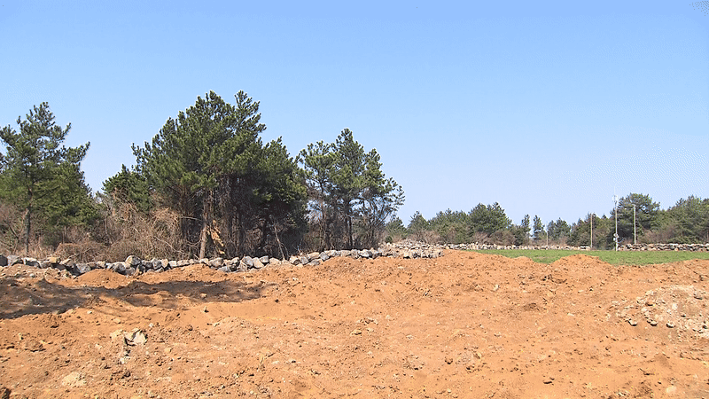 제주도 제주시 월정리 임야에 불법으로 성토한 '위파크' 공사 현장 토사들