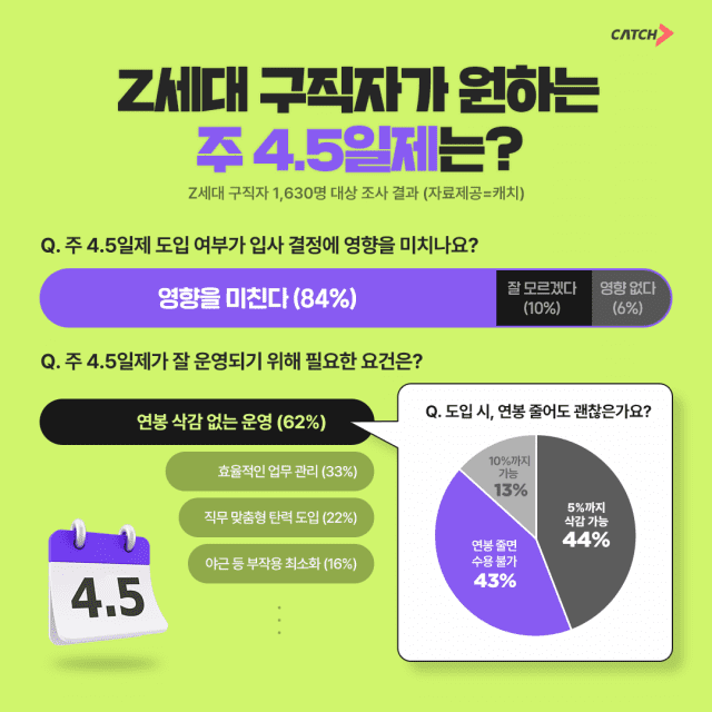 Z**************** 이미지