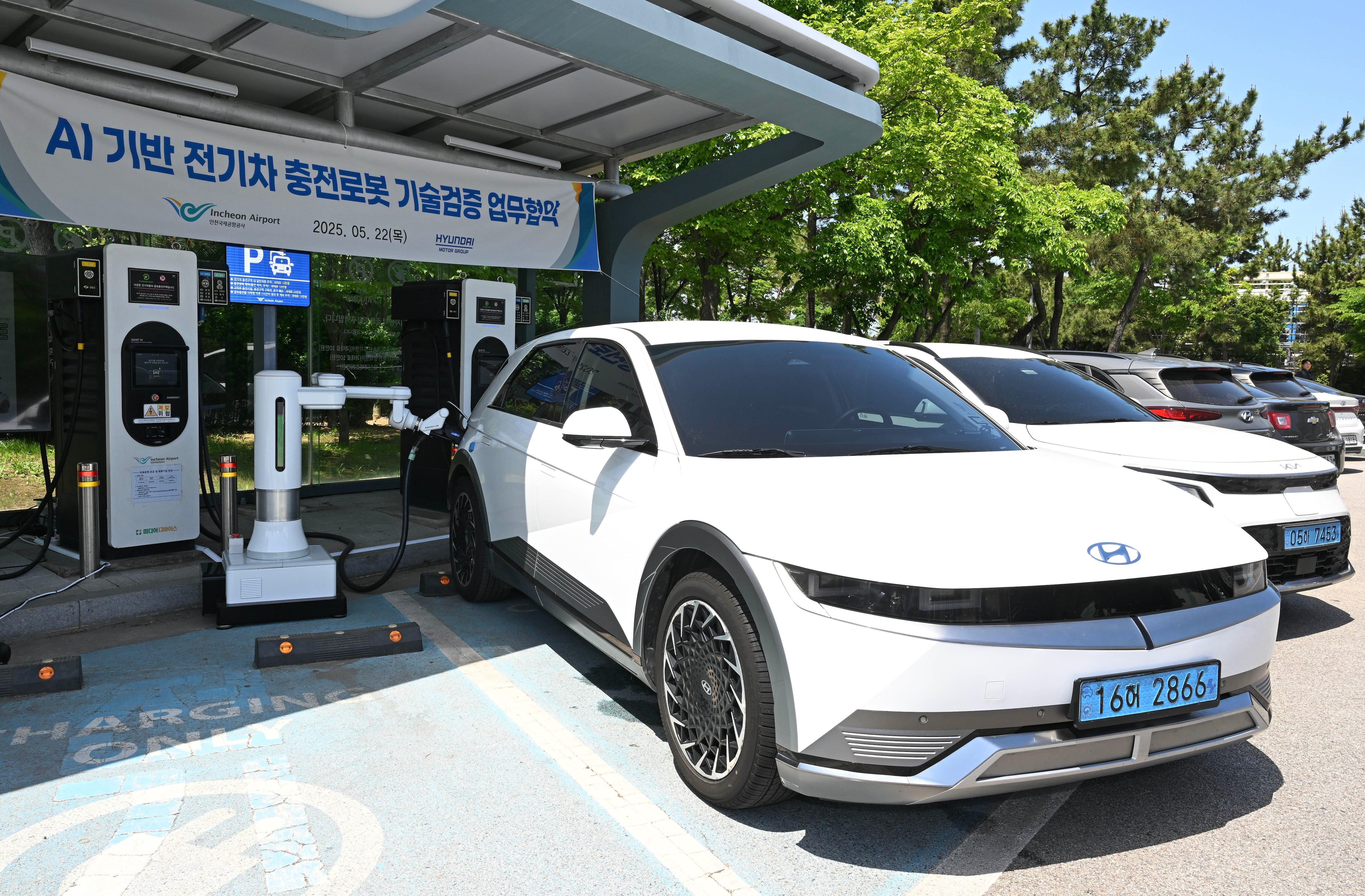 차랑 이미지