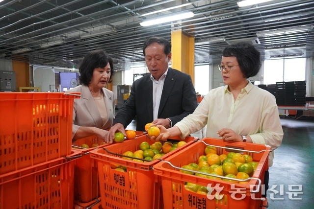 위미사랑하우스 이미지