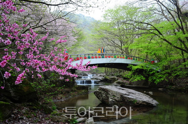 순창봄 이미지