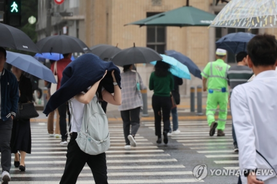 선선 이미지