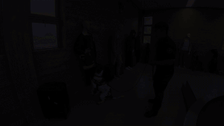 퇴역견 듀크와 보니의 일상 모습. 장난감 놀이를 즐기고 보호자와의 스킨십을 좋아하는 등 여느 반려견과 다르지 않다.