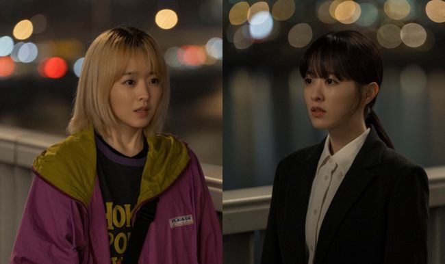 미지 이미지