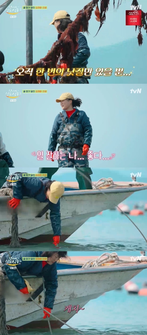 언니네 이미지