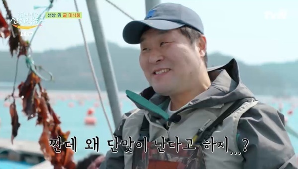 언니네 이미지