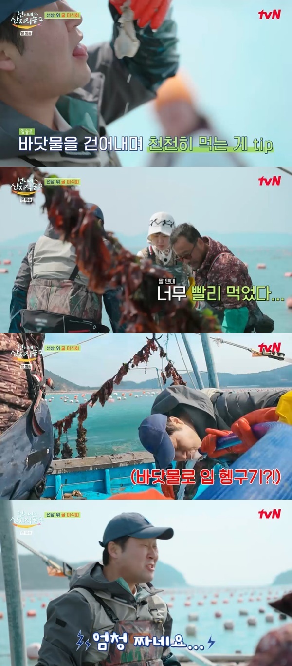 언니네 이미지