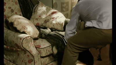 a1562cab0532b44caaff86e129806a3a88eb84b77b6c6dad8675d3416cd8b2