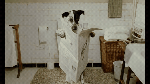 a1562cab0532b44caaff86e12982777342da73ce8c7703c29a6d0688d6a265d0