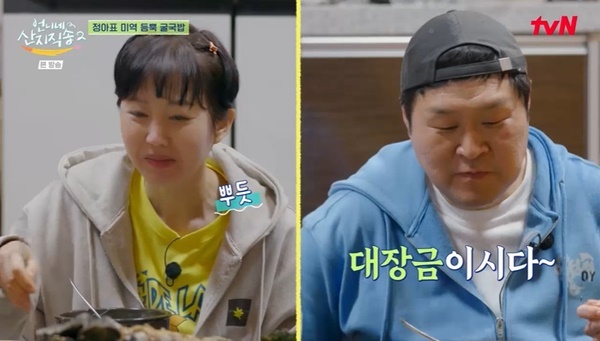 언니네 이미지
