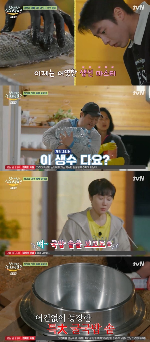 언니네 이미지