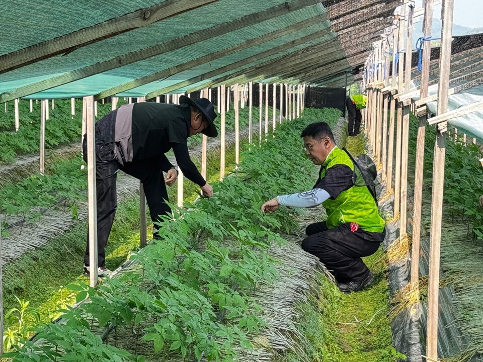 지주 이미지