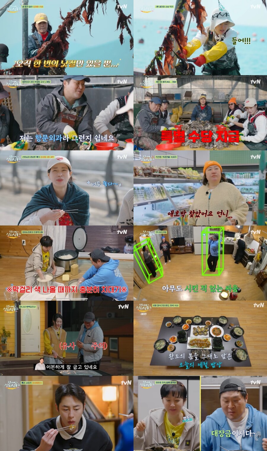 언니네 이미지