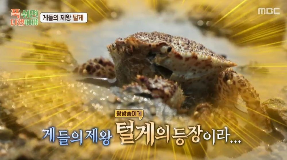 라면붐 이미지