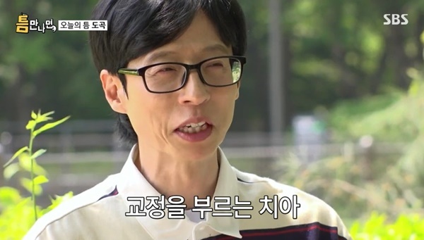 틈 이미지