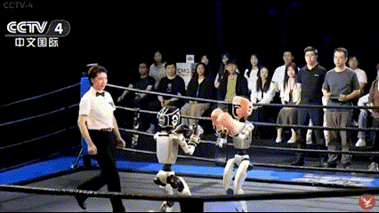 25일 중국 항저우에서 열린 휴머노이드 로봇 격투기 대회는 중국 기업들의 기술력 진화를 증명했다. 출처=CCTV4