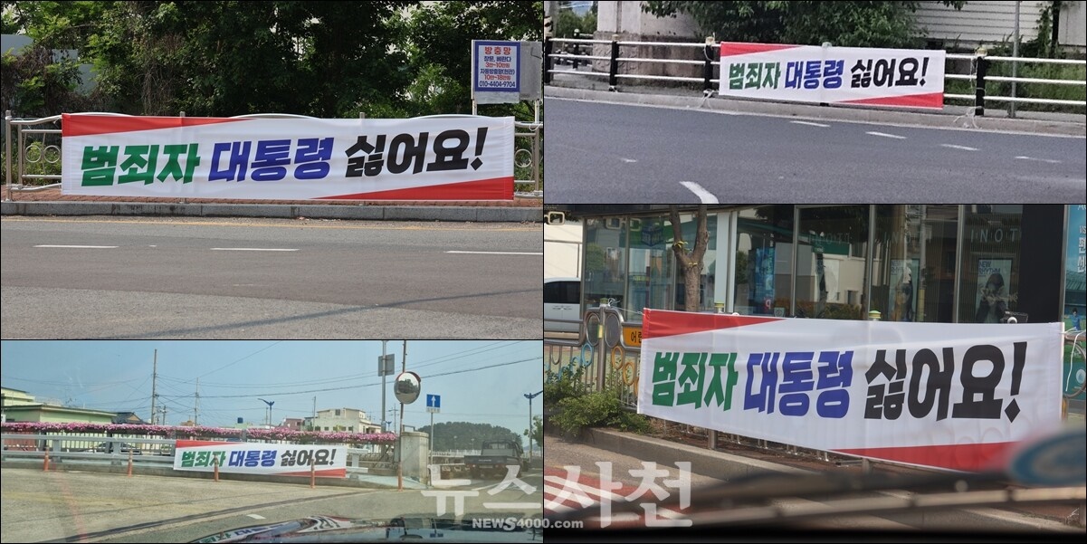 밤새 이미지