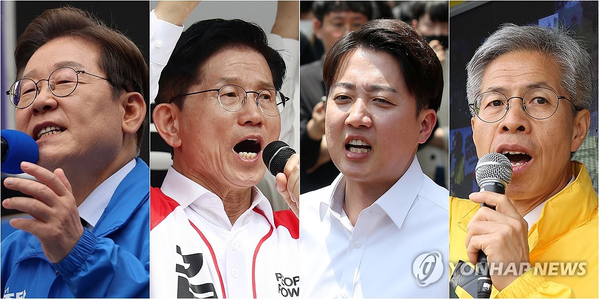 살리고 이미지