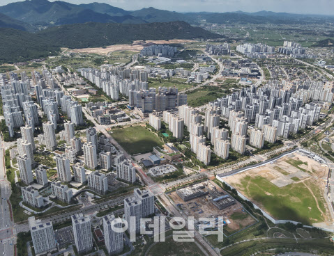 일단와봐유 이미지