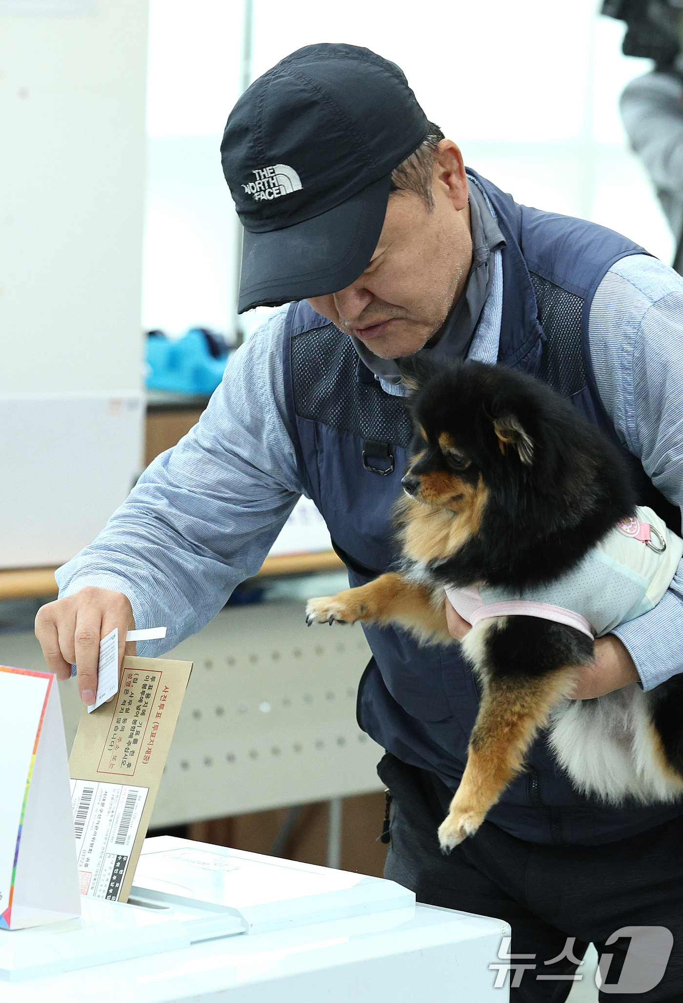같이 이미지