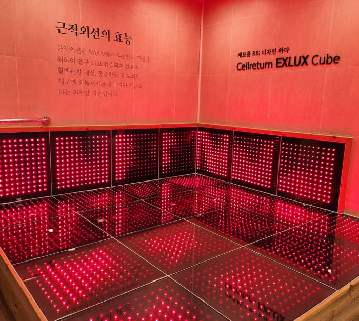 럭스존 이미지