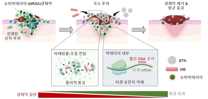 창 이미지