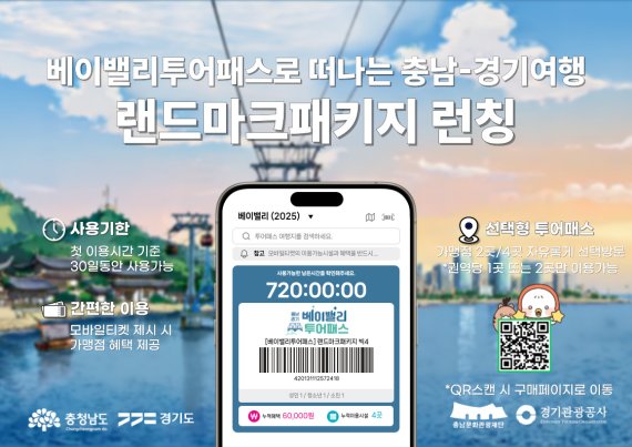 밸리 이미지