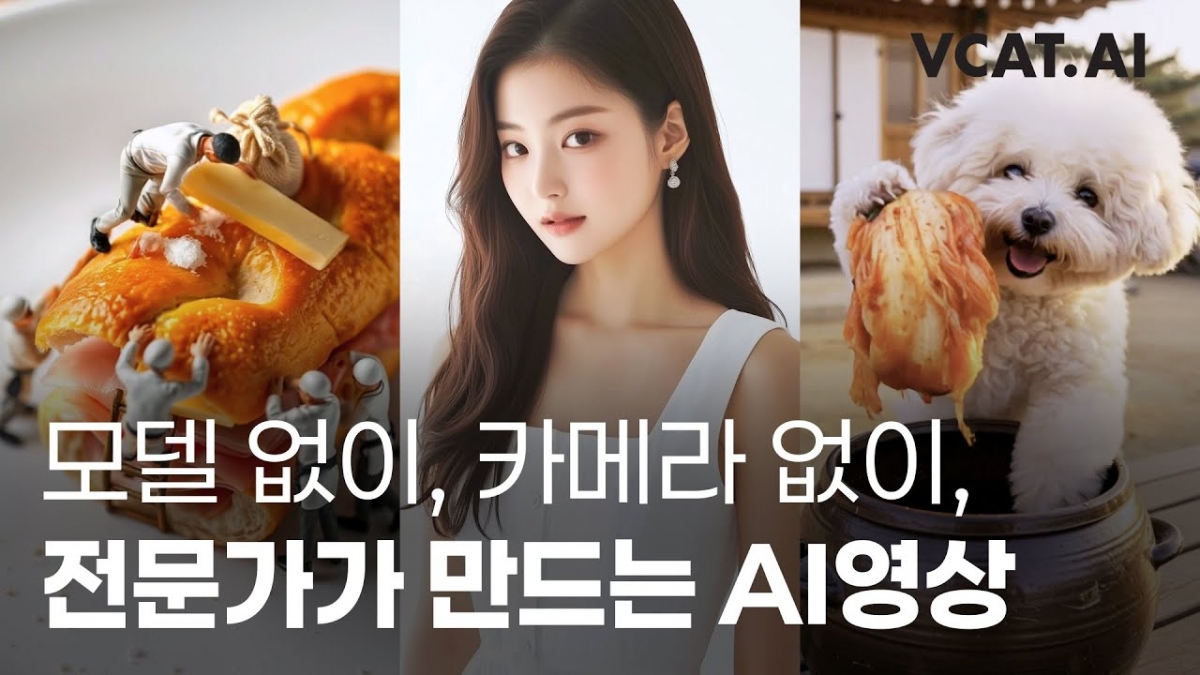 브이 이미지