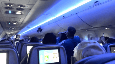 [뉴시스]한 승객이 기내에 난입한 비둘기를 잡으려는 모습이다. 델타 항공 기내에서 비둘기 두 마리가 나타나는 해프닝이 벌어졌다. (사진=뉴욕포스트) 2025.5.28 *재판매 및 DB 금지