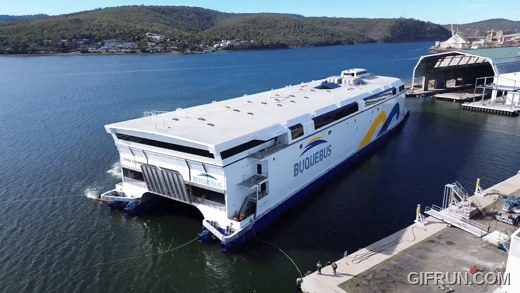 (영상=인캣 유튜브)