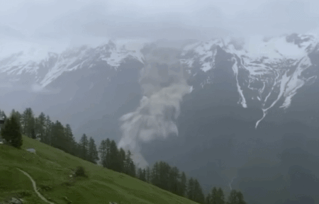 /사진=유튜브 About Nature 갈무리