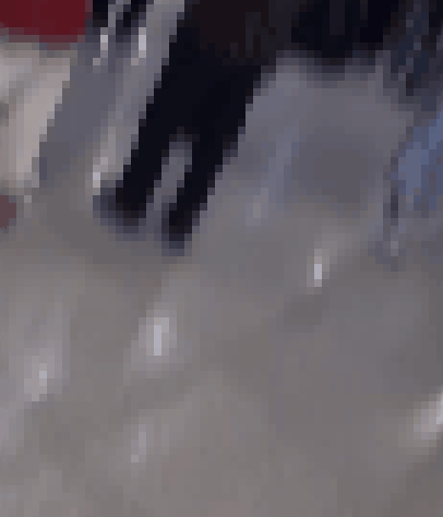 해당 단체를 맞이하는 부정선거론자들. 온라인 커뮤니티 캡처