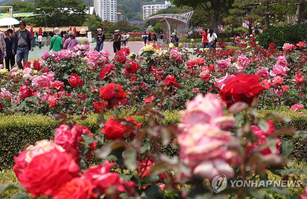 빛깔 이미지
