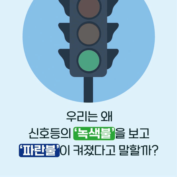 언어가 세계를 감각하는 법